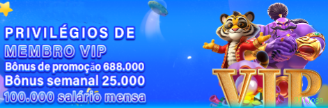 Programa VIP exclusivo da 911jogo
